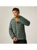 Regatta Steppjacke "Marizion" in Grün