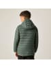 Regatta Steppjacke "Marizion" in Grün