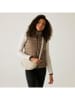 Regatta Steppweste "Marizion" in Taupe