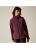 Regatta Softshelljas "Desoto" bordeaux