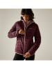 Regatta Steppjacke "Marizion" in Bordeaux