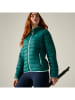 Regatta Steppjacke "Marizion" in Petrol