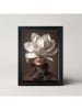 Ars Longa Ingelijste kunstdruk "Ivory Bloom" - (L)70 x (B)50 cm