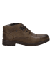 Josef Seibel Leder-Ankle-Boots "Tinens 01" in Braun