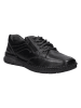 Josef Seibel Leder-Schnürschuhe "Narkeni 02" in Schwarz