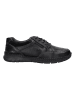 Josef Seibel Leder-Schnürschuhe "Narkeni 02" in Schwarz