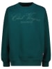 Vingino Sweatshirt in Grün