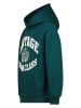 Vingino Hoodie groen
