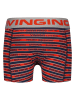 Vingino 4-delige set: boxershorts meerkleurig