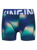 Vingino 5-delige set: boxershorts meerkleurig