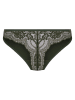 Hunkemöller Slip in Oliv