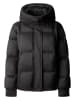 Pepe Jeans Winterjacke in Schwarz