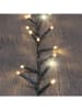 Lotti LED-Lichterkette in Grün/ Warmweiß - (L)20 m
