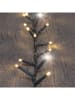 Lotti Led-lichtketting groen/warmwit - (L)40 m