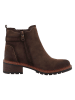 Tom Tailor Boots in Braun