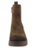 Tom Tailor Stiefeletten in Braun
