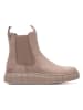 Xti Chelsea-Boots in Taupe