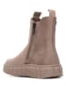 Xti Chelsea-Boots in Taupe