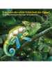 National Geographic 3D-puzzel "Kameleon" - vanaf 6 jaar