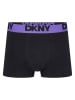 DKNY 7er-Set: Boxershorts in Schwarz