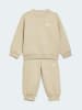 adidas 2tlg. Outfit in Sand