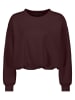Sweatshirt in Bordeaux