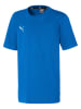 Puma Shirt "teamGOAL 23 Casuals Tee Jr" in Blau