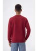 Champion Bluza w kolorze czerwonym