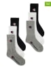Champion 6er-Set: Socken in Bunt