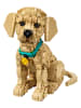 LEGO LEGO® Icons: Golden retriever-puppy - vanaf 18 jaar