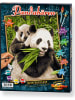 Schipper Schilderen op nummer-set "Pandaberen'' - vanaf 8 jaar