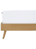 Schiesser Jersey hoeslaken wit