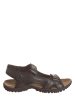 Regatta Sandalen "Haris" zwart