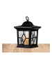 STAR Trading LED-Solar-Gartenstecker "Milan" in Schwarz - (H)58 cm