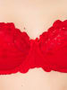 Valea Beugelbeha "Saragossa" rood