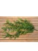 Boltze Decoratieve tak "Bladeren" groen - (L)90 cm