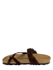 BAYTON Leren teenslippers "Diane" donkerbruin