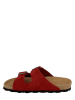 BAYTON Skórzane klapki "Atlas" w kolorze czerwonym
