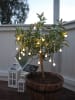 Best Season LED-Solargirlande "Balls" in Weiß - (L)675 cm