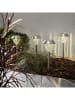STAR Trading 4er-Set: LED-Solar-Gartenstecker "Palma" in Silber - (L)28 x (B)12 cm