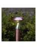 STAR Trading Solarna lampa ogrodowa LED "Napoli" w kolorze miedzianym - wys. 36 cm