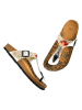 Calceo Zehentrenner in Beige/ Bunt