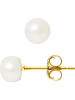 Pearl Addict Pareloorstekers wit