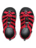 Keen Wandersandalen "Newport H2" in Rot