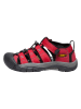 Keen Wandersandalen in Rot