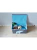 STORE IT Ordnungsbox in Grau/ Hellblau - (B)61 x (H)38 x (T)37 cm