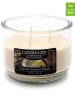 CANDLE-LITE 2er-Set: Duftkerzen "Tahitian Coconut Colada" in Weiß - 2x 283 g