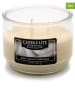 CANDLE-LITE 2-delige set: geurkaarsen "Cozy Vanilla Cashmere" wit - 2x 283 g