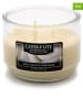 CANDLE-LITE 2er-Set: Duftkerzen "Cozy Vanilla Cashmere" in Weiß - 2x 283 g