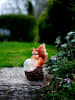 STAR Trading Solarna figurka LED "Squirrel" w kolorze brązowym - wys. 23 cm